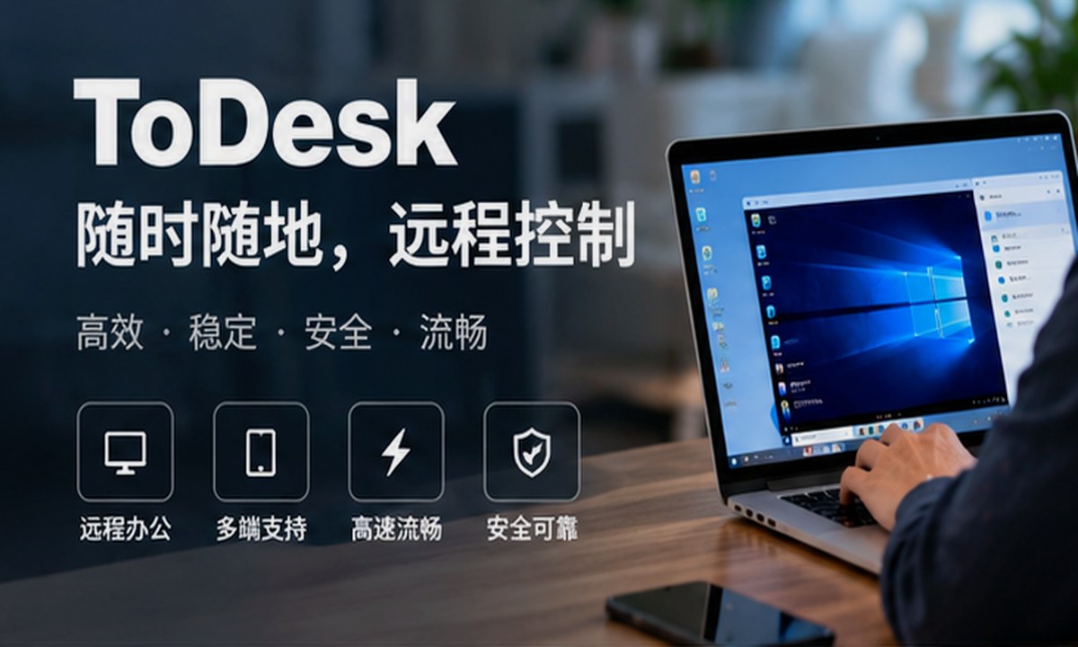 todesk