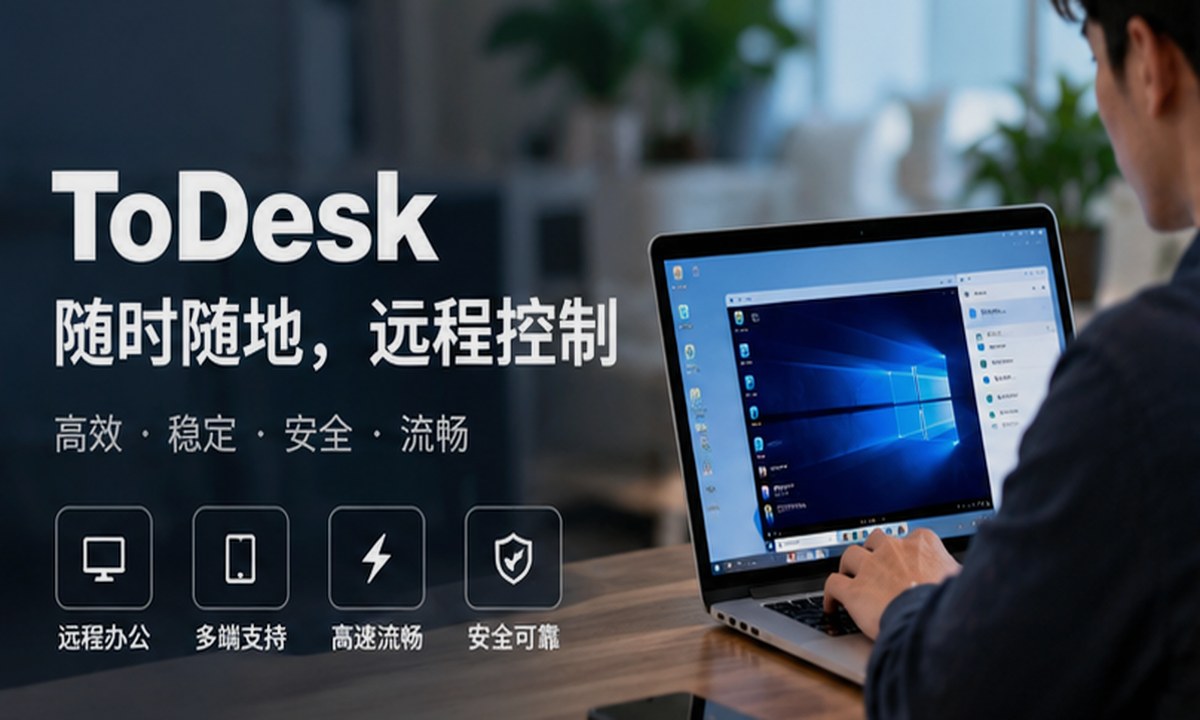 todesk