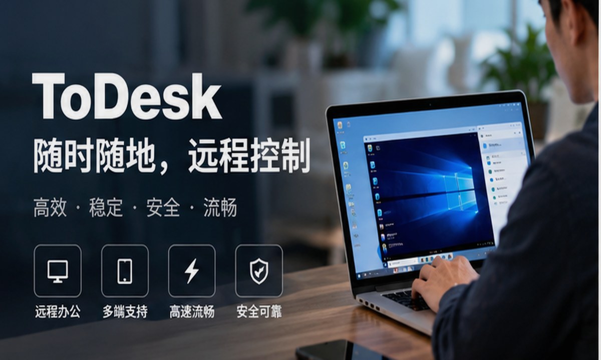 todesk