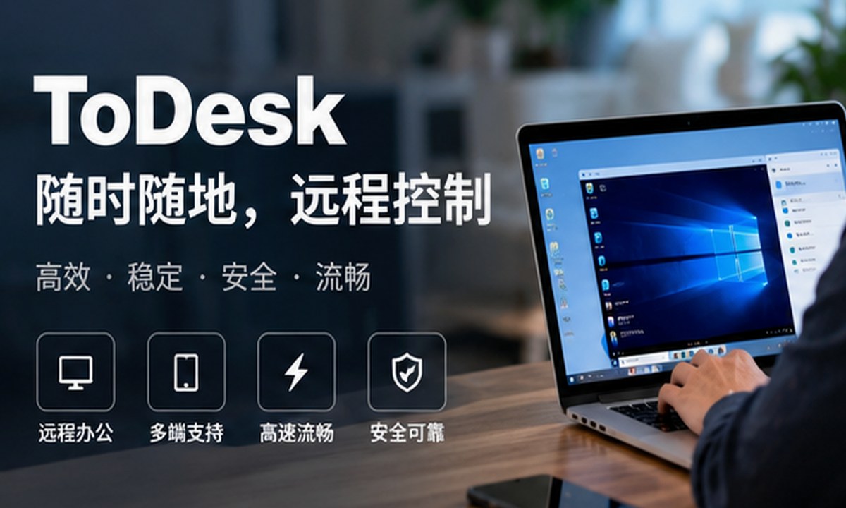todesk